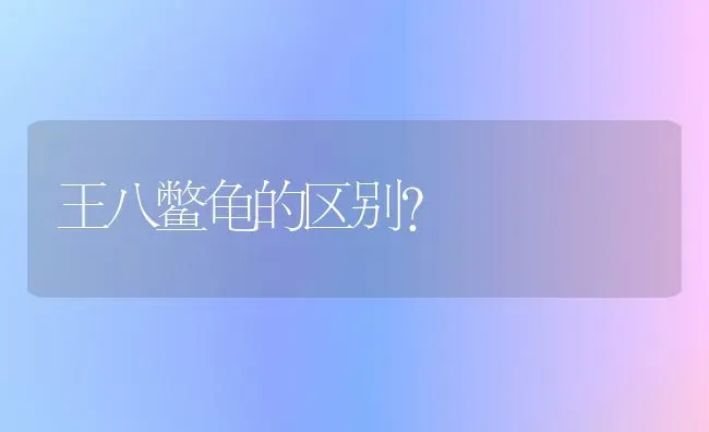 王八鳖龟的区别？ | 动物养殖问答