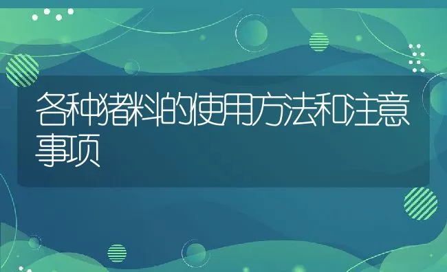 各种猪料的使用方法和注意事项 | 动物养殖学堂