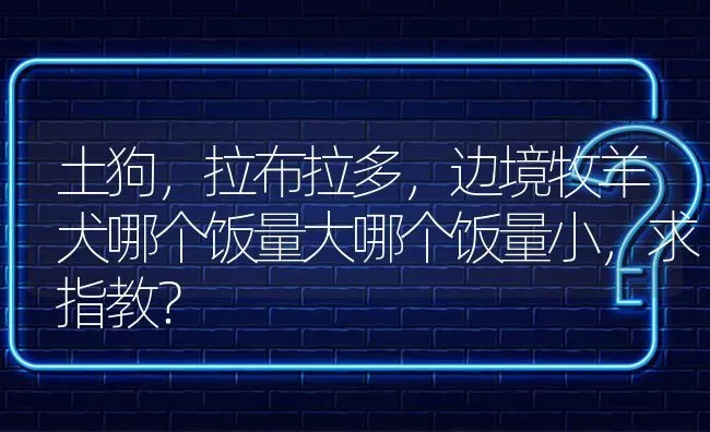 土狗，拉布拉多，边境牧羊犬哪个饭量大哪个饭量小，求指教？ | 动物养殖问答