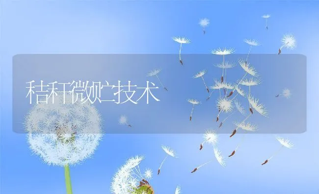 秸秆微贮技术 | 动物养殖饲料