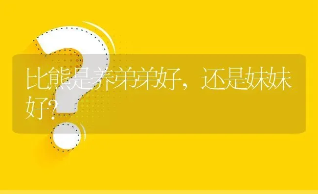 比熊是养弟弟好，还是妹妹好？ | 动物养殖问答