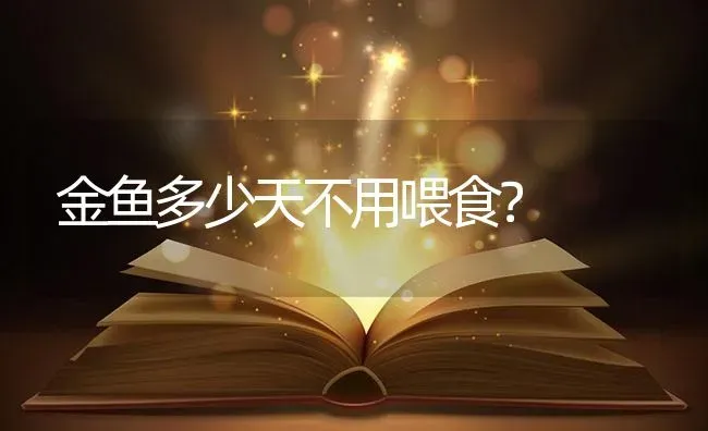 金鱼多少天不用喂食？ | 鱼类宠物饲养