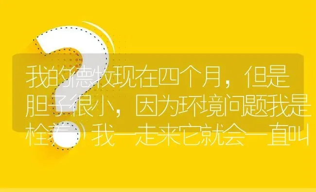 我的德牧现在四个月，但是胆子很小，因为环境问题我是栓养，我一走来它就会一直叫，叫声类似哭。但我把我？ | 动物养殖问答