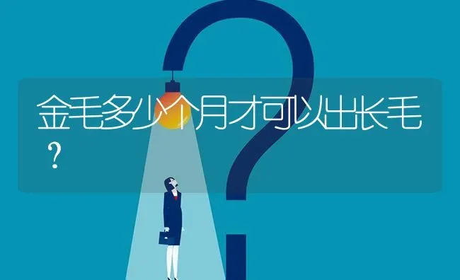 金毛多少个月才可以出长毛？ | 动物养殖问答