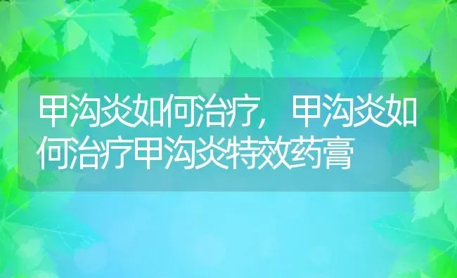 甲沟炎如何治疗,甲沟炎如何治疗甲沟炎特效药膏 | 宠物百科知识