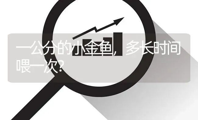 一公分的小金鱼，多长时间喂一次？ | 鱼类宠物饲养