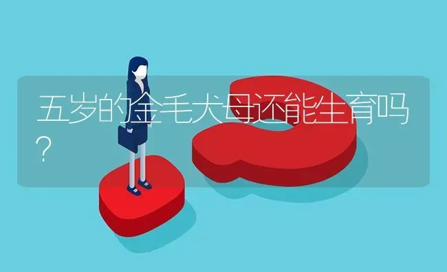 五岁的金毛犬母还能生育吗？ | 动物养殖问答