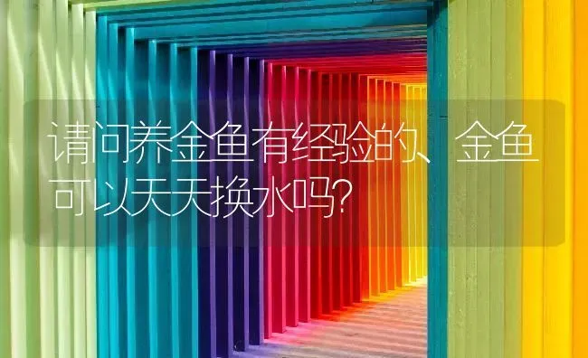 请问养金鱼有经验的、金鱼可以天天换水吗？ | 鱼类宠物饲养