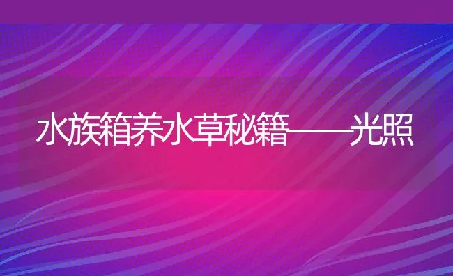 预防宠物狗腹泻的四个基本点 | 动物养殖学堂