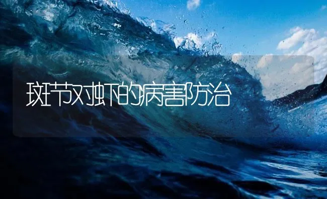 斑节对虾的病害防治 | 海水养殖技术