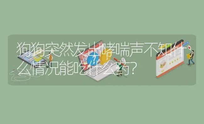 狗狗突然发出哮喘声不知什么情况能吃什么药？ | 动物养殖问答