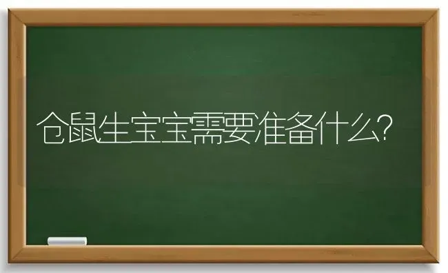 仓鼠生宝宝需要准备什么？ | 动物养殖问答