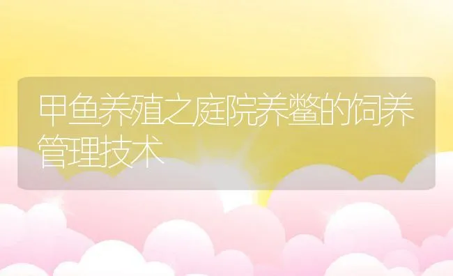 甲鱼养殖之庭院养鳖的饲养管理技术 | 动物养殖饲料