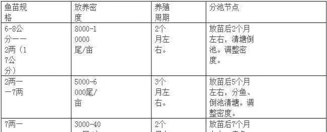 石斑鱼放苗：鱼苗培育的技术要点（土塘和高位池）