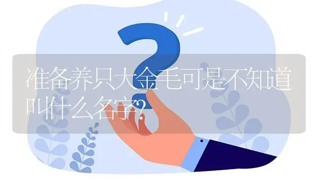 准备养只大金毛可是不知道叫什么名字？ | 动物养殖问答