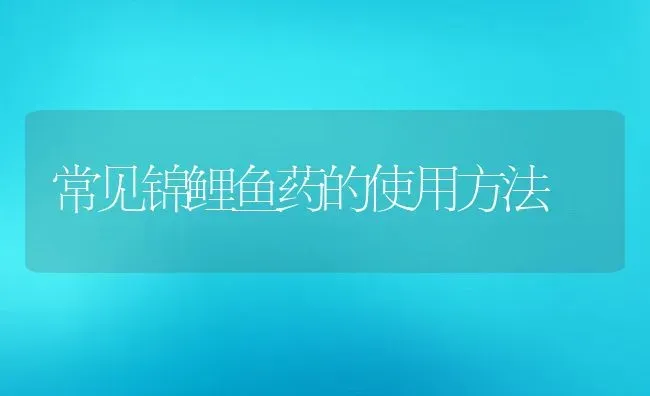 常见锦鲤鱼药的使用方法 | 动物养殖教程