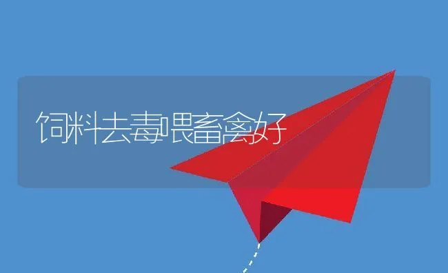 流行鸭病的防治 | 动物养殖学堂