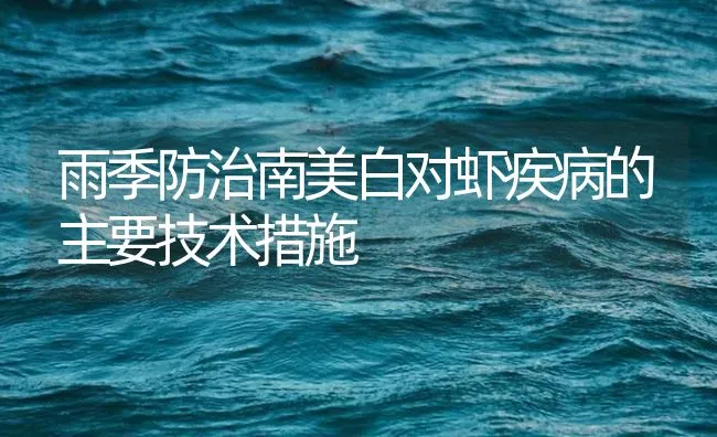 雨季防治南美白对虾疾病的主要技术措施 | 海水养殖技术