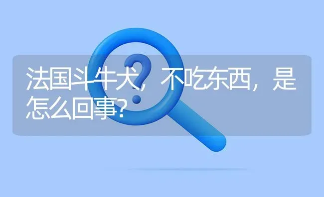 法国斗牛犬，不吃东西，是怎么回事？ | 动物养殖问答