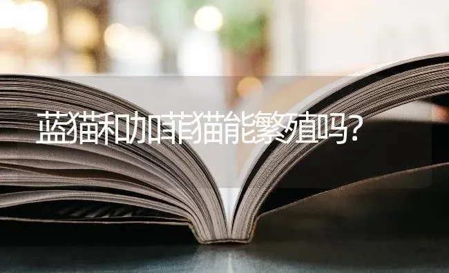 东德牧羊犬耳朵几个月开始竖起来？ | 动物养殖问答