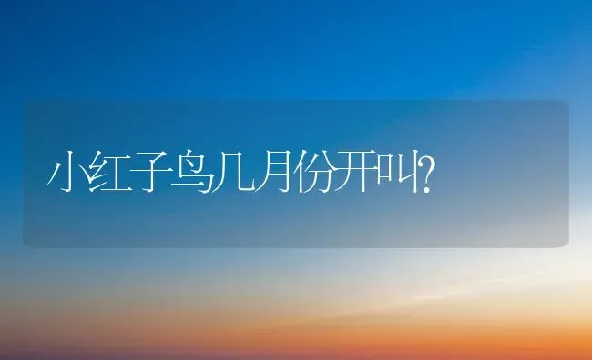 小红子鸟几月份开叫？ | 动物养殖问答