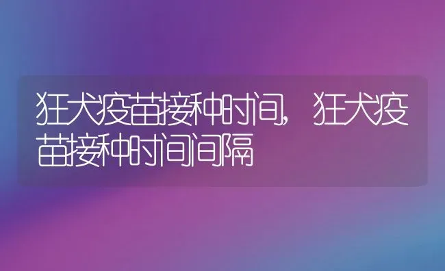 狂犬疫苗接种时间,狂犬疫苗接种时间间隔 | 宠物百科知识