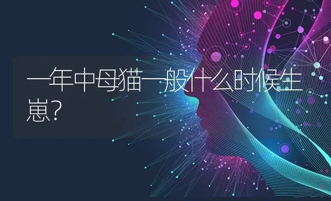 一年中母猫一般什么时候生崽？ | 动物养殖问答