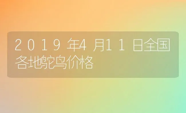 2019年4月11日全国各地鸵鸟价格 | 动物养殖百科