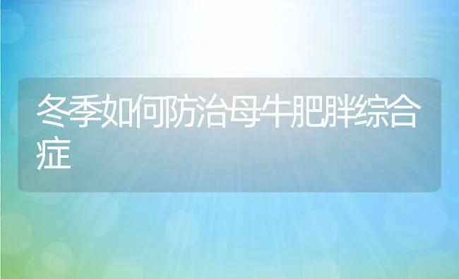 冬季如何防治母牛肥胖综合症 | 动物养殖学堂