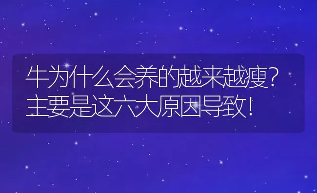 牛为什么会养的越来越瘦？主要是这六大原因导致！ | 动物养殖百科