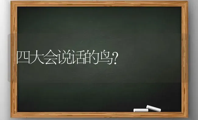 四大会说话的鸟？ | 动物养殖问答