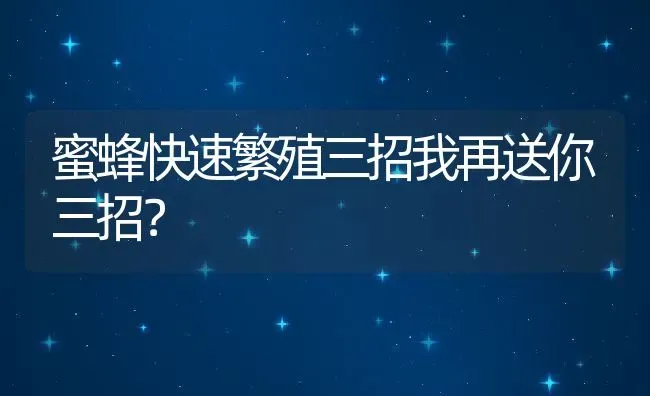 蜜蜂快速繁殖三招我再送你三招？ | 动物养殖百科