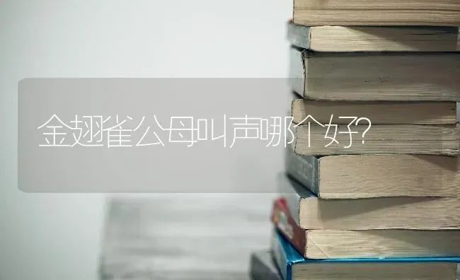 这是泰迪串串吧?颜色有点不均匀，总体颜色是浅褐色…尾巴很奇怪，尾巴毛不卷而且很长…，请问这是什么？ | 动物养殖问答