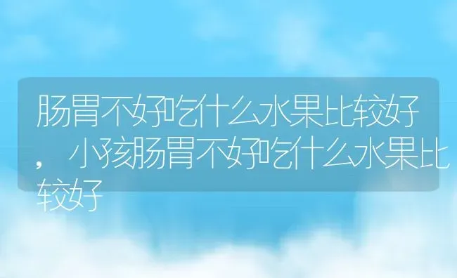 肠胃不好吃什么水果比较好,小孩肠胃不好吃什么水果比较好 | 宠物百科知识