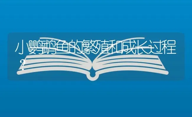 小鹦鹉鱼的繁殖和成长过程？ | 鱼类宠物饲养