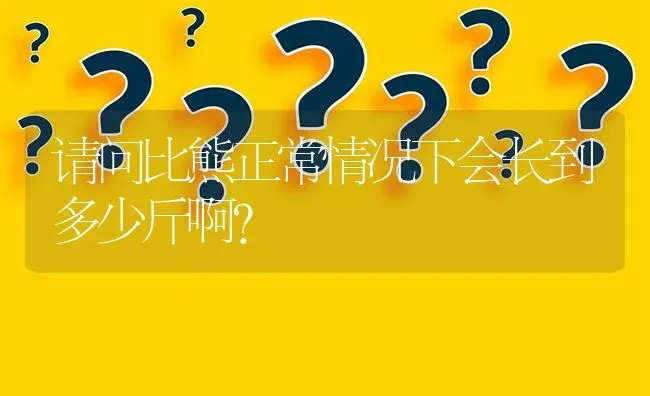 请问比熊正常情况下会长到多少斤啊？ | 动物养殖问答