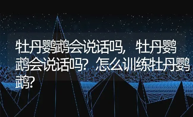 牡丹鹦鹉会说话吗,牡丹鹦鹉会说话吗?怎么训练牡丹鹦鹉? | 宠物百科知识