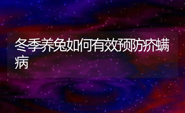 冬季养兔如何有效预防疥螨病 | 水产养殖知识