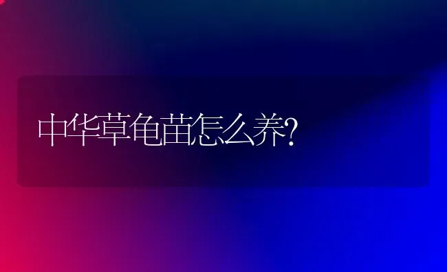 中华草龟苗怎么养？ | 动物养殖问答