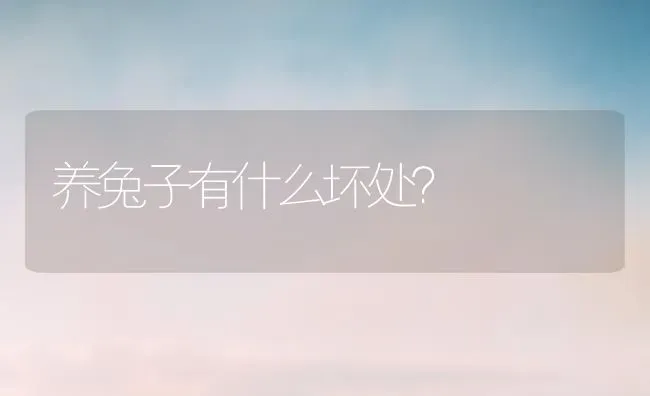 养兔子有什么坏处？ | 动物养殖问答