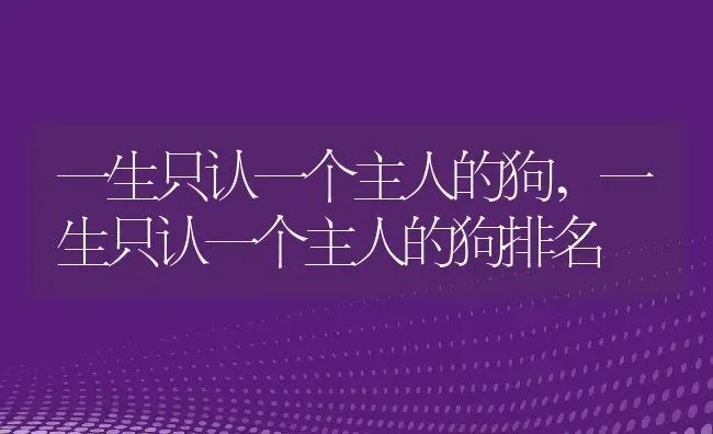 一生只认一个主人的狗,一生只认一个主人的狗排名 | 宠物百科知识