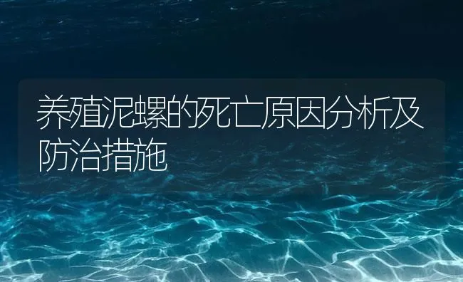 养殖泥螺的死亡原因分析及防治措施 | 海水养殖技术