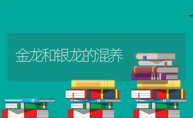 规模养藏獒圈舍的建筑及环境卫生 | 动物养殖教程