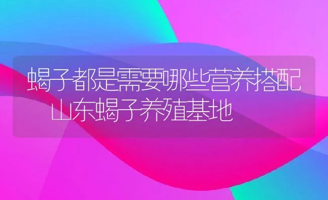 蝎子都是需要哪些营养搭配 山东蝎子养殖基地 | 水产养殖知识