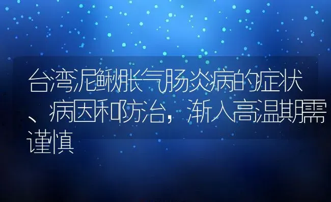 台湾泥鳅胀气肠炎病的症状、病因和防治，渐入高温期需谨慎 | 动物养殖百科