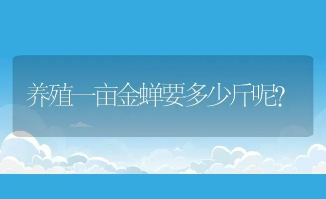 养殖一亩金蝉要多少斤呢？ | 动物养殖百科