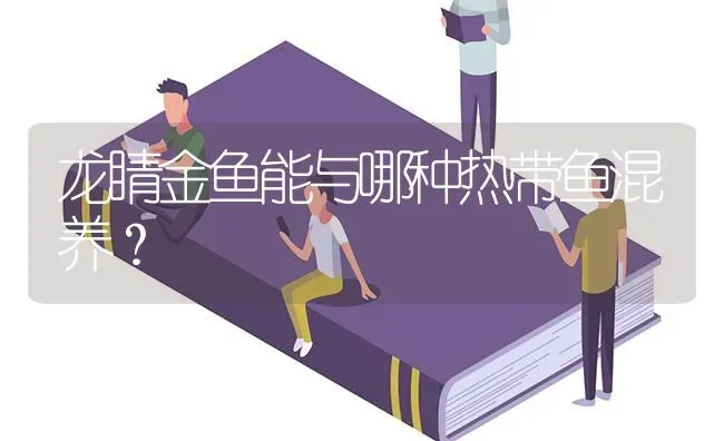 罗汉鱼孵出了一窝小鱼，怎样喂养啊？ | 鱼类宠物饲养