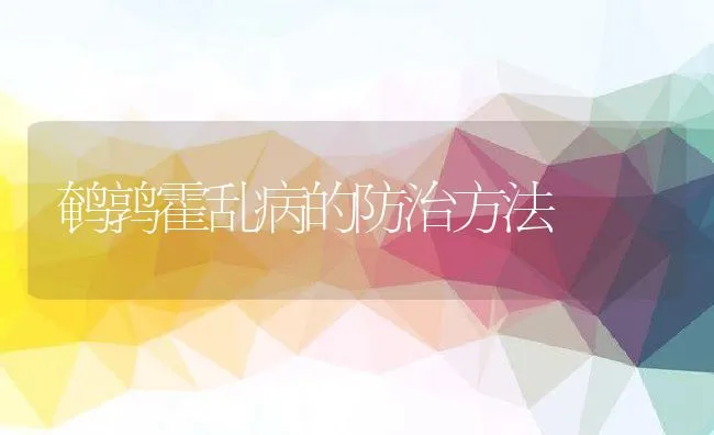 鹌鹑霍乱病的防治方法 | 动物养殖学堂