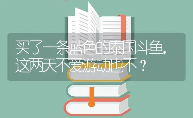 买了一条蓝色的泰国斗鱼，这两天不爱游动也不？ | 鱼类宠物饲养