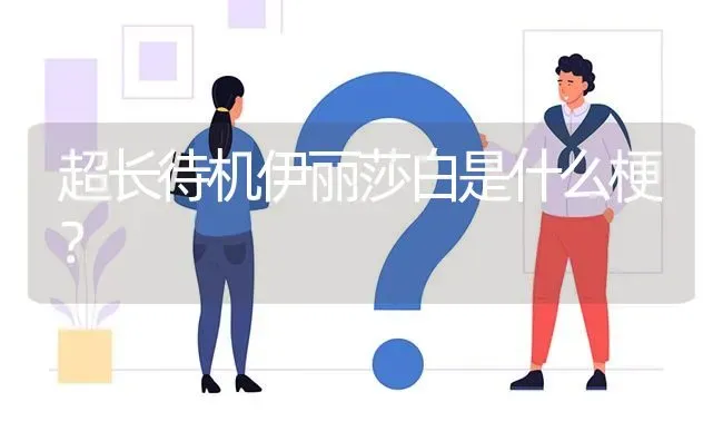 超长待机伊丽莎白是什么梗？ | 动物养殖问答